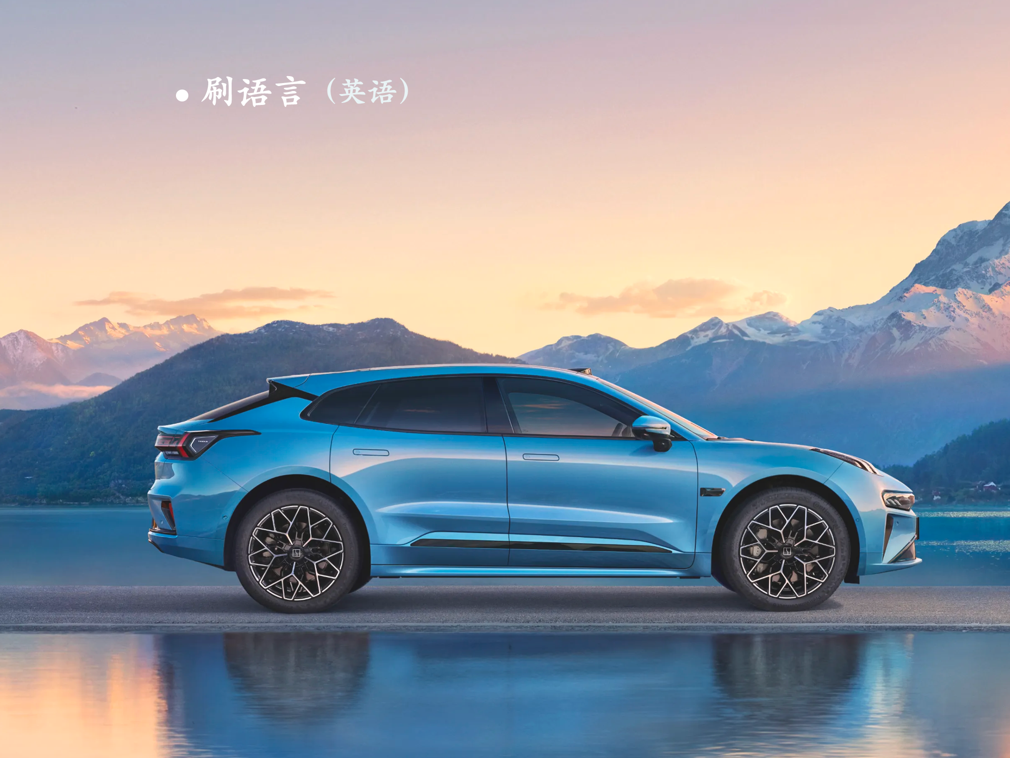 极氪001/009/7X